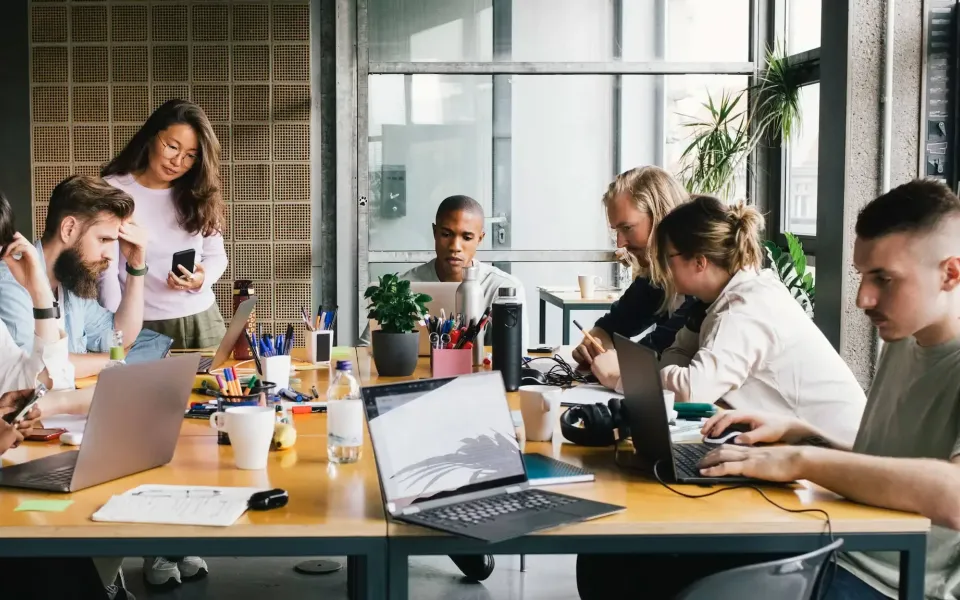 Startup velocity without the chaos