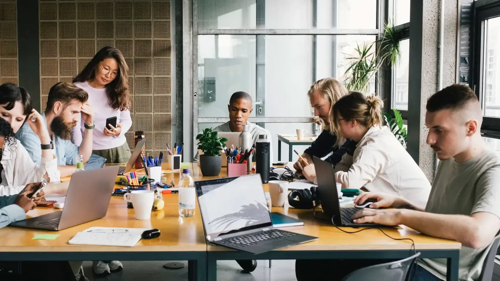Startup velocity without the chaos