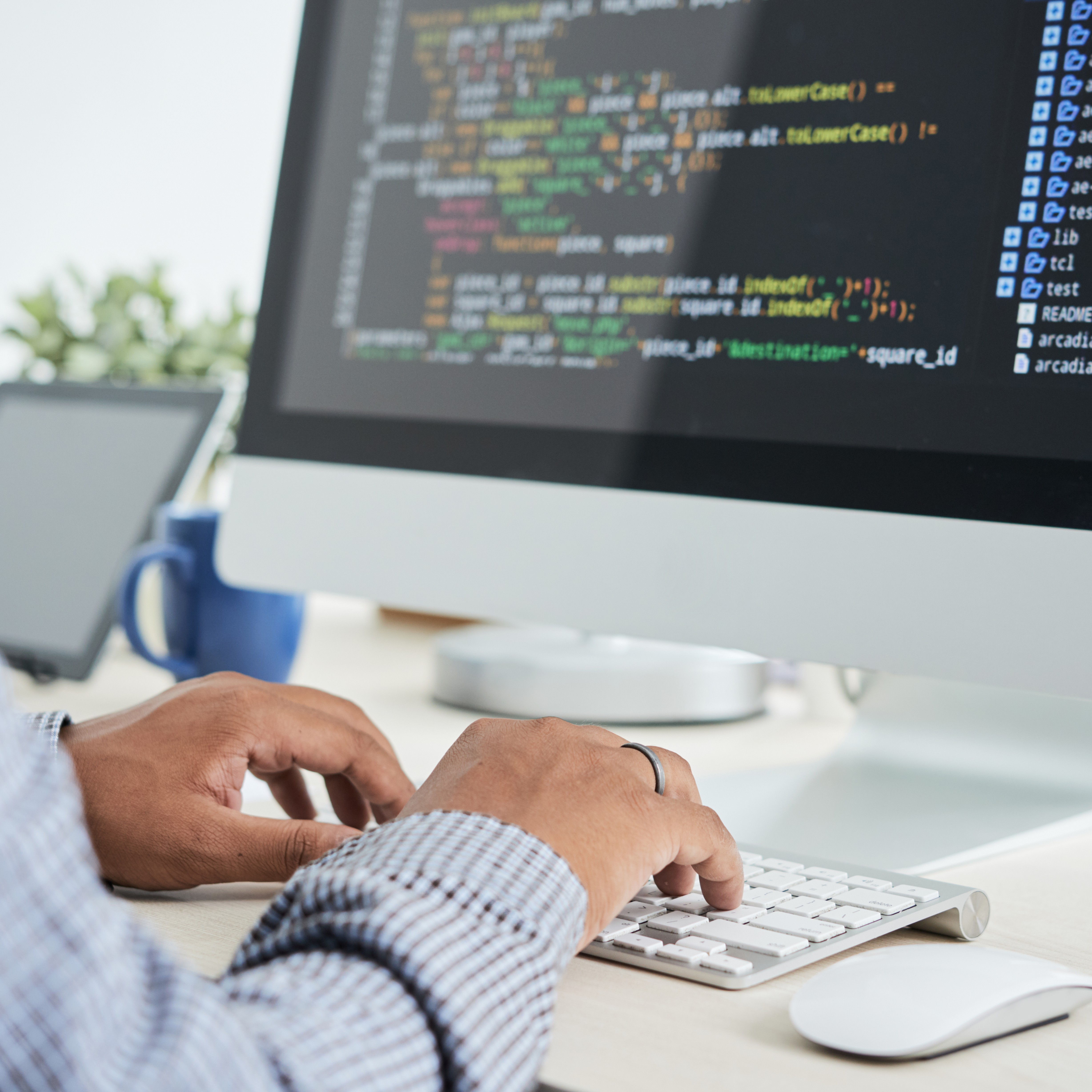 Web development
